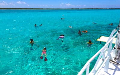 Wit Travel Reviews Cozumel Snorkel Spots