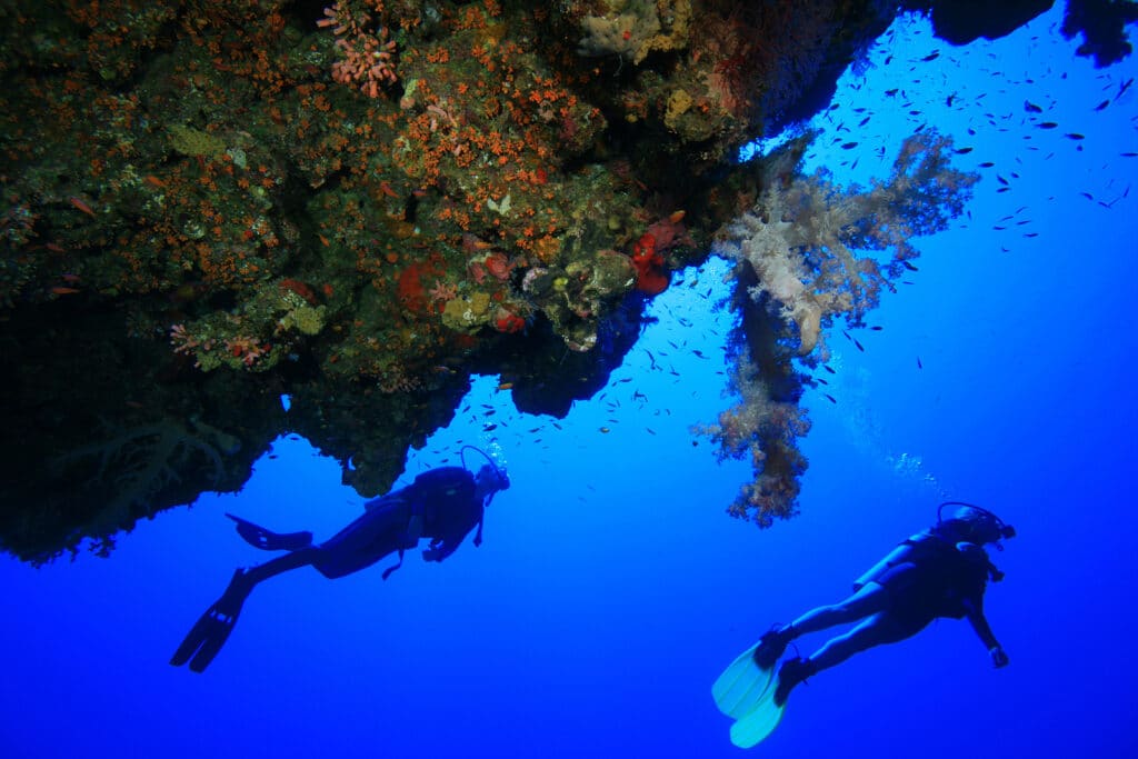 Wit Travel Reviews Top Tips For Diving 3