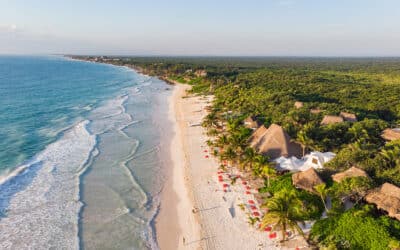 Wit Travel: Your Gateway to the Best of Tulum